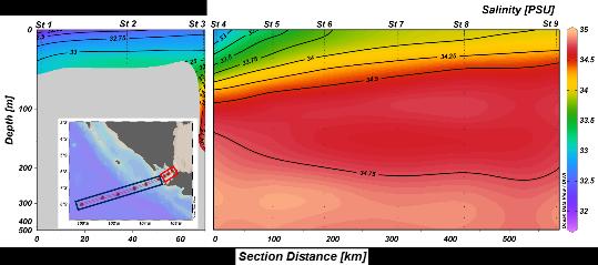 (a) (b) (c) (d) Gambar 11. Profil Salinitas secara melintang Tahun 2015-2019 a) Musim barat, b) Musim peralihan 1, c) Musim timur, d) Musim peralihan 2. salinitas relatif lebih tinggi.