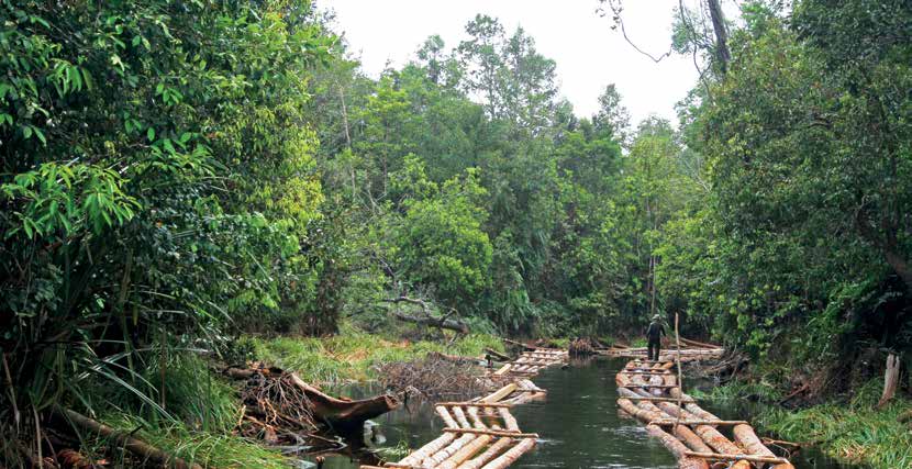 Pangan, Bahan Bakar, Serat dan Hutan Tata Guna Lahan di Kalimantan Tengah Menyatukan tujuan pembangunan dan keberlanjutan untuk optimalisasi lahan CIFOR Dialog Hutan (The Forests Dialogue/TFD), Maret