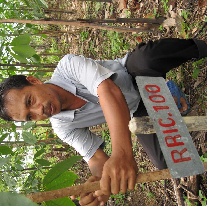 16 Harapan yang Terhenti di Tengah Jalan: Perbaikan terhadap ketersediaan benih dan bibit pohon berkualitas tinggi agar bermanfaat bagi jutaan petani kecil