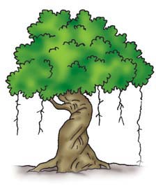 Bersihkan akar-akar tumbuhan tersebut dengan menggunakan air! 3. Tulis ciri-ciri yang dapat kamu amati dari akar-akar tersebut! 4.