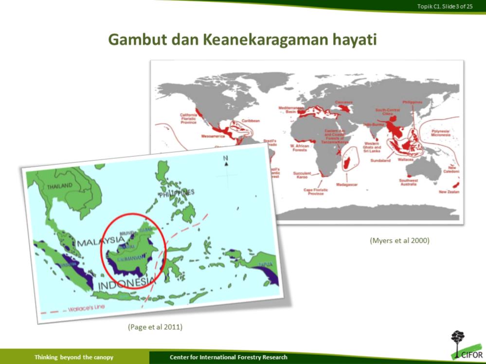 Indonesia merupakan salah satu hot spot keanekaragaman hayati dunia (Myers et al. 2000). Salah satu habitat yang memililki keunikan dan keanekaragaman hayati yang tinggi adalah lahan gambut.