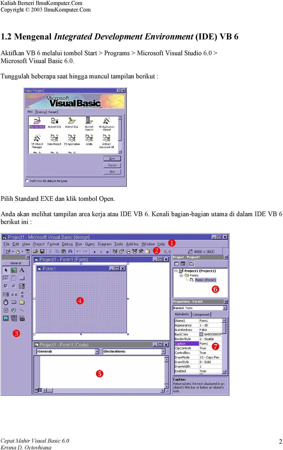> Microsoft Visual Basic 6.0.