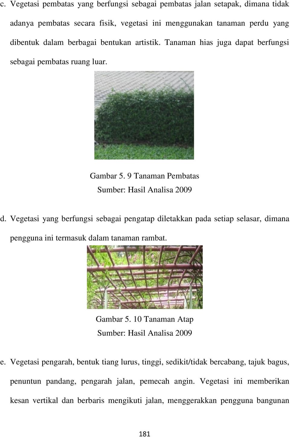 Vegetasi yang berfungsi sebagai pengatap diletakkan pada setiap selasar, dimana pengguna ini termasuk dalam tanaman rambat. Gambar 5. 10 Tanaman Atap e.