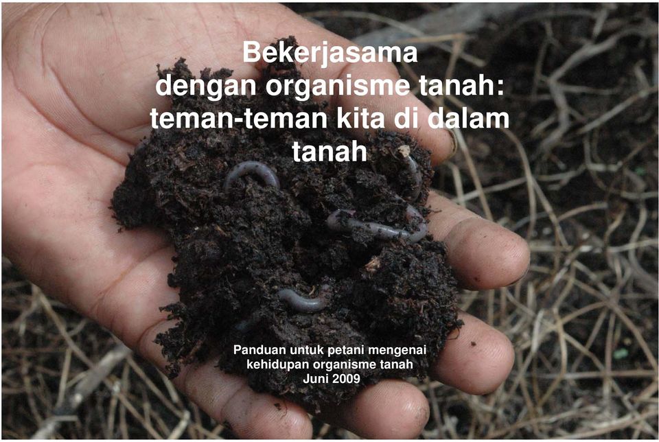 Kemukakan pengaruh organisme terhadap proses perkembangan tanah