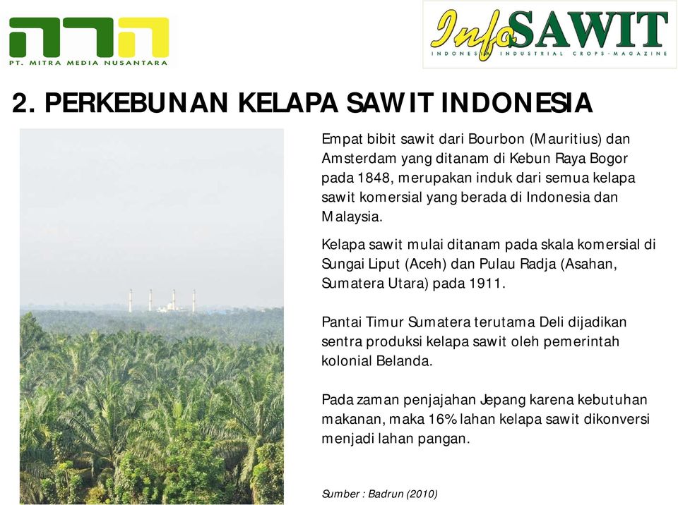 Kelapa sawit mulai ditanam pada skala komersial di Sungai Liput (Aceh) dan Pulau Radja (Asahan, Sumatera Utara) pada 1911.