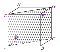 19. Jawab : (a), (d), (e), (f), dan (g) Perhatikan kedua gambar kubus ABCD.EFGH di bawah ini!
