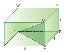 2. Diagonal Bidang dan Diagonal Ruang Perhatikan kubus ABCD.EFGH berikut ini! Garis AH dan garis EG disebut diagonal bidang, yaitu diagonal yang terletak pada bidang kubus.