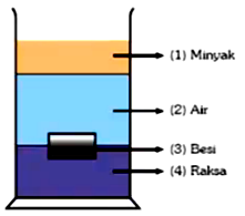 doc. name: AR08FIS0UAS version: 205-05 halaman 5 3. Diagram berikut ini memperlihatkan sebuah pipa U berisi dua jenis zat cair yang tidak bercampur yaitu raksa (massa jenis 3.6 g/ cm 3 ) dan zat cair.