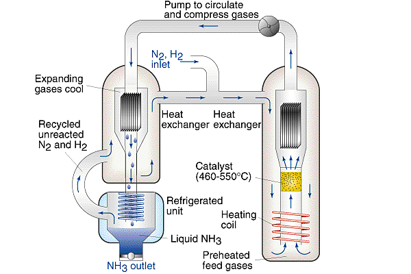 1. Pembuatan Amonia menurut Proses Haber-Bosch Pada awalnya, sintesis langsung amonia (NH 3 ) dari gas nitrogen dan hidrogen murni telah terjadi tetapi NH 3 yang dihasilkan sangat sedikit.