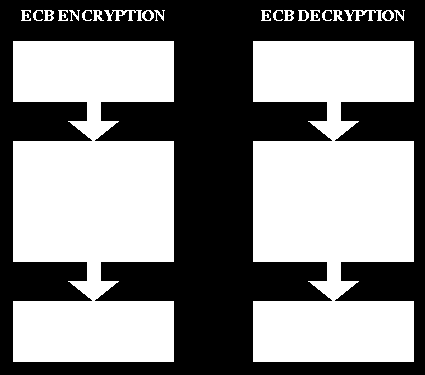 Proses enkripsi dan dekripsi pada cipher blok diilustrasikan dalam gambar 5.1. Enkripsi: Dekripsi: Blok Plainteks P P = (p1,p2,..., pm) Blok Cipherteks C C = (c1,c2,.