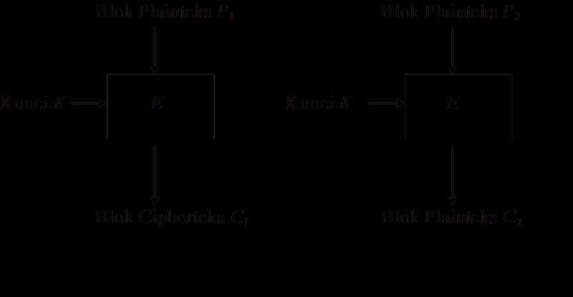 Electronic Code Book (ECB) Setiap blok plainteks P i dienkripsi secara individual dan independen menjadi blok cipherteks C i.