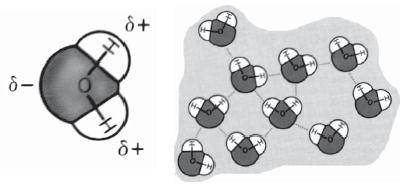 Gambar 11. Susunan dipol-dipol dalam senyawa polar Dalam membandingkan zat dengan massa molekul relatif (Mr) yang berbeda jauh, gaya dispersi menjadi lebih penting.