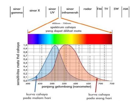 Pada kenyataannya, warna saling bercampur satu sama lain. Spektrum warna tidak hanya terbatas pada warna- warna yang dapat kita lihat.