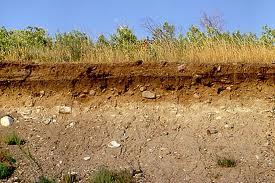 3. Tanah Alluvial Tanah aluvial adalah tanah yang dibentuk dari lumpur sungai yang mengendap di dataran rendah yang memiliki sifat tanah yang subur dan cocok