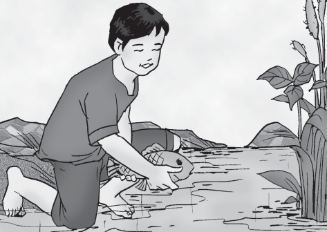 68 Bahasa Indonesia Sekolah Dasar Kelas 3 Gambar 6.1 Rio menolong seekor ikan Ketika akan pulang, Rio melihat kakek Tarno sedang memikul kayu bakar. Jalannya tertatih-tatih dan pelan.
