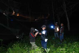Teknik Survei dan Identifikasi Jenis-jenis Kelelawar Agroforest Sumatra 3.3. Pelaksanaan Survei 3.3.1.