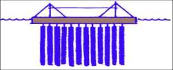 8 Gambar 3. A. Budidaya model dasar, B. Budidaya model tiang 2. Budidaya di kolom perairan Budidaya kerang hijau pada kolom perairan yang biasa digunakan adalah model gantung, longline dan rakit.