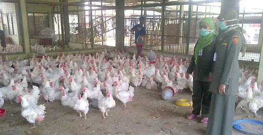 7 Ekonomi Relokasi Tempat Potong Ayam Digencarkan u Satu kios disewakan Rp400 ribu l Peliput: Ifand Upaya untuk merelokasi tempat pemotongan ayam potong di Jakarta Timur digencarkan.