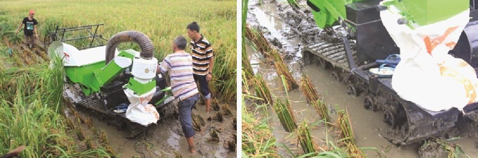 Uji fungsi mesin panen padi tipe mini combine di lahan sawah Kabupaten Pandeglang, Banten.