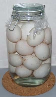 15 22 Rajah 16 di bawah menunjukkan penyiasatan tentang pengawetan makanan. 2 sudu teh garam Telur Rajah 16 Telur di dalam botol menjadi rosak selepas tiga hari.