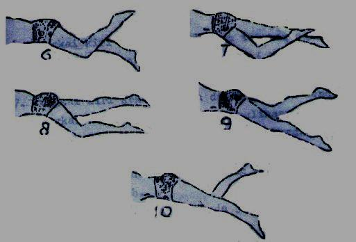 Tahap gerakan lengan dalam renang gaya bebas terdiri dari