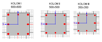 Gambar 4.5 model penampang kolom untuk struktur 10 lantai 5.