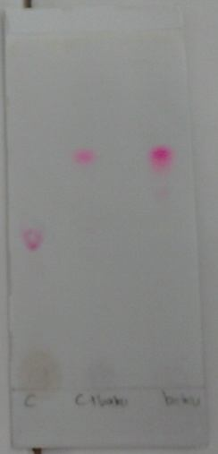 54 CERATA Journal Of Pharmacy Science Penampakkan totolan bercak pewarna terlihat seperti pada gambar no 3 sebagai berikut : Keterangan : A = sampel A A B C B = sampel A ditambah baku C = baku