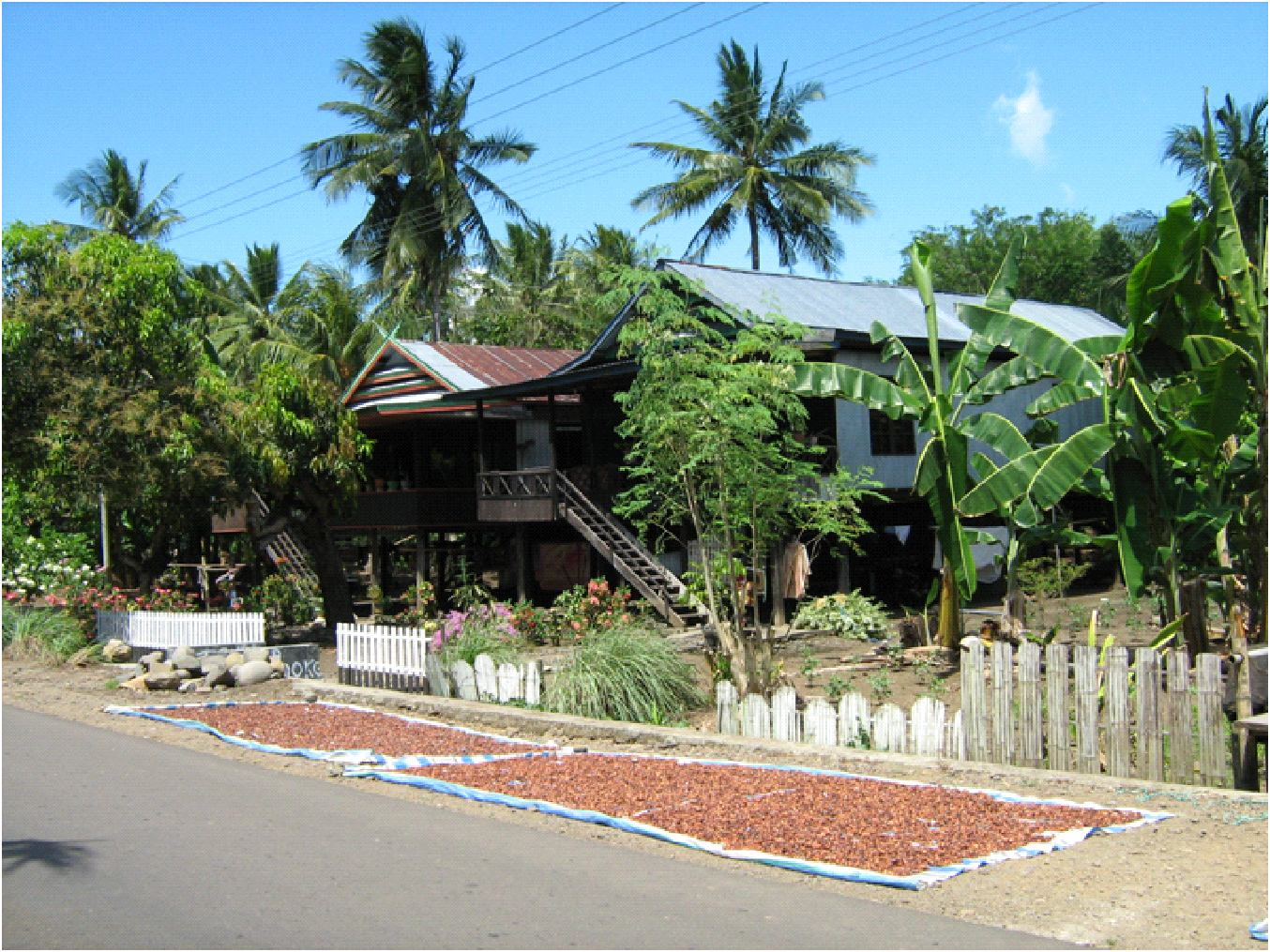 Potensi Ekonomi Kakao sebagai Sumber Pendapatan Petani Lya Aklimawati 1) 1) Pusat Penelitian Kopi dan Kakao Indonesia, Jl. PB.