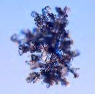16. Irregular Crystals Gambar 2.16 Bentuk Kristal Irregular Crystals Salju ini sulit diidentifikasi karena bentuknya sudah tidak beraturan lagi.