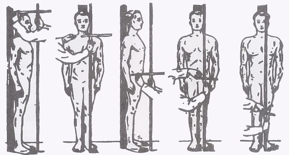 Gambar 1.7 (8) : Gambar pengukuran tinggi badan dan pengukuran tinggi titik anatomis lainnya 2.12. PERTUMBUHAN TULANG Kerangka merupakan organ penyangga tubuh kita sehingga tubuh dapat berdiri tegak.