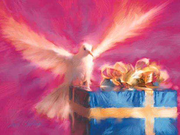 Karunia Roh berbeda dengan buah Roh. Karunia roh adalah keterampilan yang secara supranatural diberikan oleh Roh Kudus kepada seseorang sehingga ia dapat melayani dengan cara yang khusus.