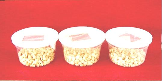Pengujian Ketahanan Varietas/Galur Penentuan Indeks Kerentanan Dari setiap varietas/galur jagung diambil 75 g biji jagung, dibagi dalam tiga ulangan masing-masing 25 g, kemudian dimasukkan ke dalam