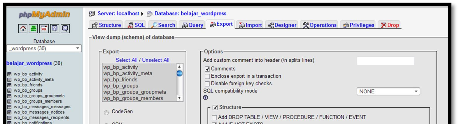 Sebelum database di import buka tab baru pada browser ketikkan alamat