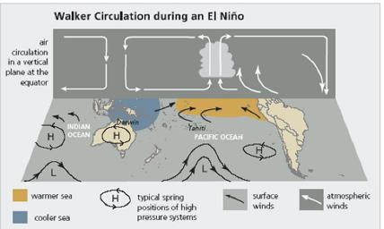 7 Gambar 3. Sirkulasi Angin Pasat Timuran pada Kondisi El Nino Gambar 4.