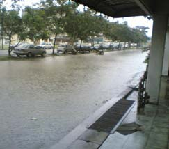Sumber: www.freespace.com Gambar 9.9 Hujan dapat mengubah kenampakan bumi.