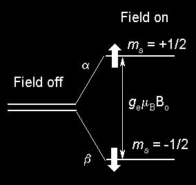 kuantum azimut dan bernilai dari - l hingga + l (l = nilai bilangan kuantum azimutnya). Misalnya subkulit s mempunyai nilai l = 0 maka bilangan kuantum magnetiknya (m) = 0.