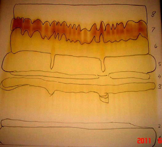 18 Gambar 5 Pola KLT preparatif fraksi 4 hasil kromatografi kolom, eluen kloroform:metanol:air (70:20:2) Proses pemurnian fraksi 4