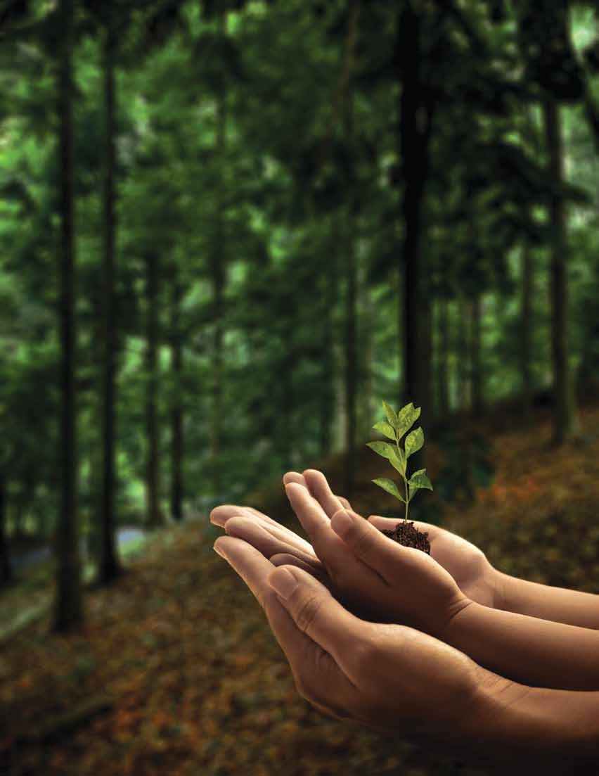 Menumbuhkan hal-hal baik, awal sebuah generasi Semua kehidupan memiliki sebuah awal. Dan awal untuk tumbuhnya sebatang pohon dimulai dengan pemilihan bibit berkualitas.