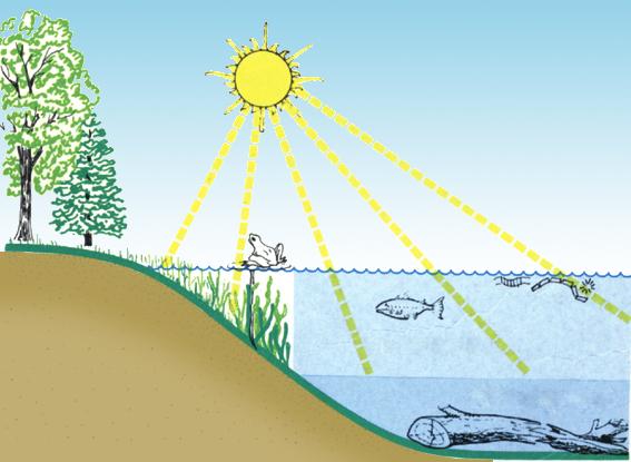 Pada Gambar 6.6, cahaya matahari berguna bagi tumbuhan di alam. Cahaya matahari membantu tumbuhan dalam membuat makanannya. Lalu, tumbuhan dapat digunakan manusia dan hewan sebagai sumber makanan.
