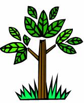 Pertemuan 9 STRUKTUR POHON (TREE) ISTILAH-ISTILAH DASAR Pohon atau Tree adalah salah satu bentuk Graph terhubung yang tidak mengandung sirkuit.
