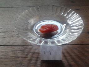 METODE PENELITIAN Waktu dan Pelaksanaan Pembuatan kurma tomat (kurto) ini dilaksanakan pada