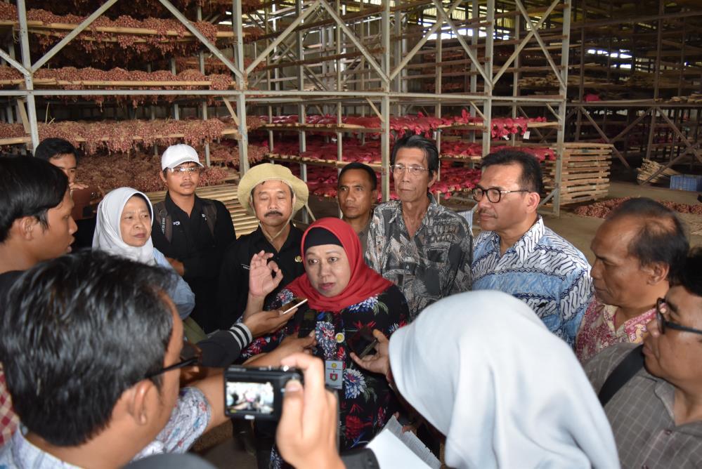 Wawancara yang dilakukan wartawan kepada Direktur Perlindungan Hortikultura di gudang benih bawang merah milik pak Agusman di Kabupaten Cirebon, provinsi Jawa Barat Tabel sebaran luas pertanaman