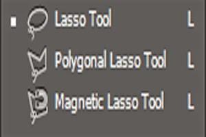 Polygonal Lasso Tool digunakan untuk membuat area seleksi berbentuk persegi/garis lurus.