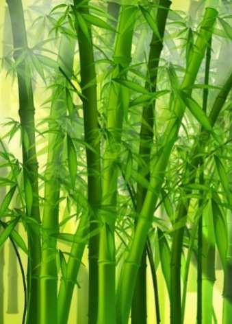 111 cahaya. Satu buah lampu ini dapat bertahan lebih dari 30 ribu jam, bahkan mencapai 100 ribu jam. Bambu Bambu merupakan tumbuhan yang paling cepat tumbuh kembali.
