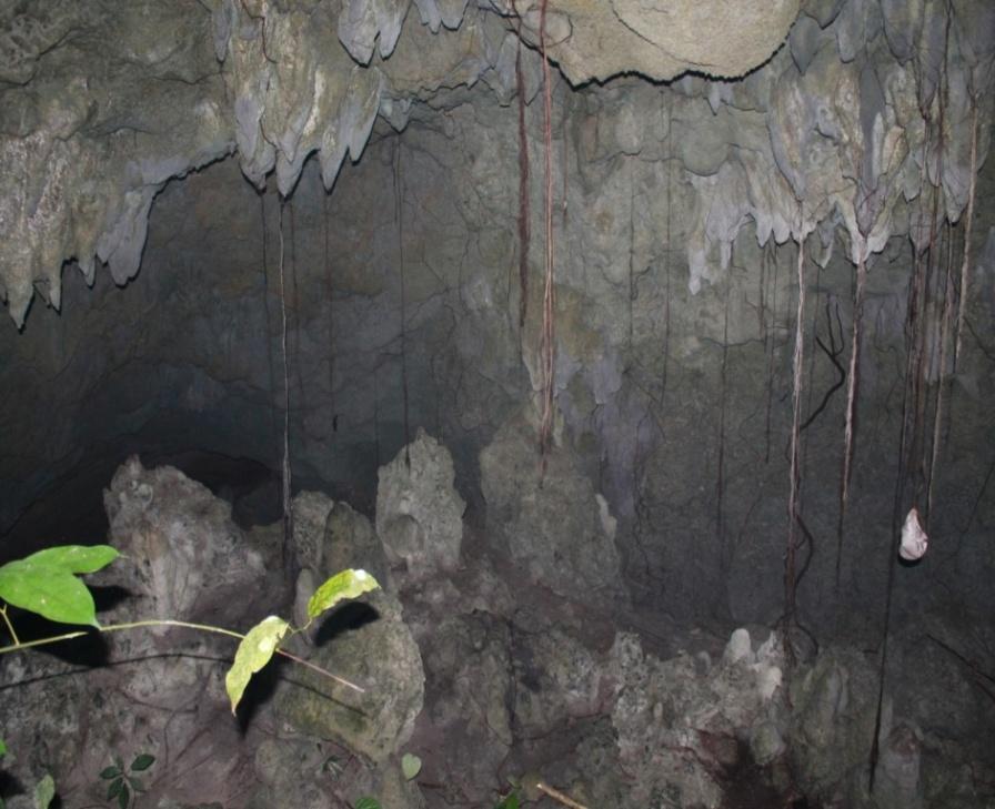 Gua hutan di desa Ohoira jarang dikunjungi penduduk, karena disamping disakralkan juga memerlukan perjuangan untuk mencapai gua tersebut.