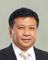 Sebelum bergabung dengan Perseroan, beliau menjabat sebagai CEO PT Bukit Sentul Tbk (1997-2001). Beliau memulai karir profesionalnya di Citibank N.