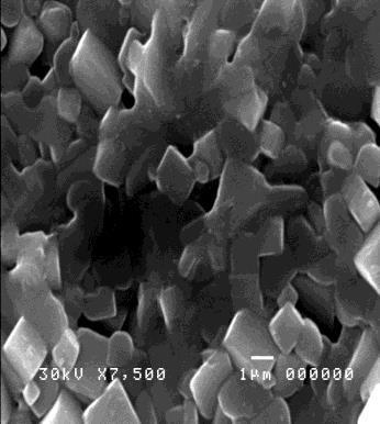 Selama ini, pengontrolan sintesis carbon nanotube dilakukan dengan menggunakan katalis logam untuk membantu proses nukleasi dan pertumbuhan CNT.