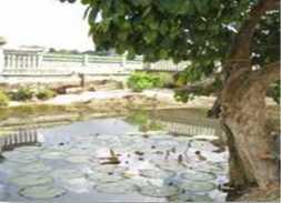 Kondisi Infrastruktur Kolam Hijau Kolam Hijau terletak di Kecamatan Bunga Raya Kabupaten Siak. Merupakan kolam buatan yang dibangun pada zaman Kerajaan Siak.