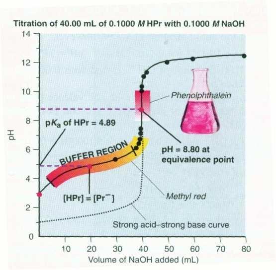 22 Gambar 2.5 Kurva titrasi asam lemah oleh basa kuat Keterangan: 1. Pada tahap awal titrasi sebelum NaOH ditambahkan, spesi utama dalam larutan adalah CH 3 COOH dan H 2 O.