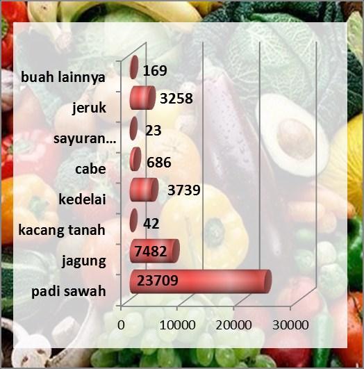 Luas panen jagung juga cukup dominan, yaitu sebesar 1.089 Ha (16 persen). Produksi padi sawah sebanyak 23.709 ton.